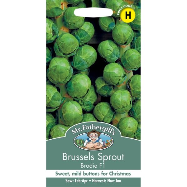Brussels Sprout Brodie F1 Seeds